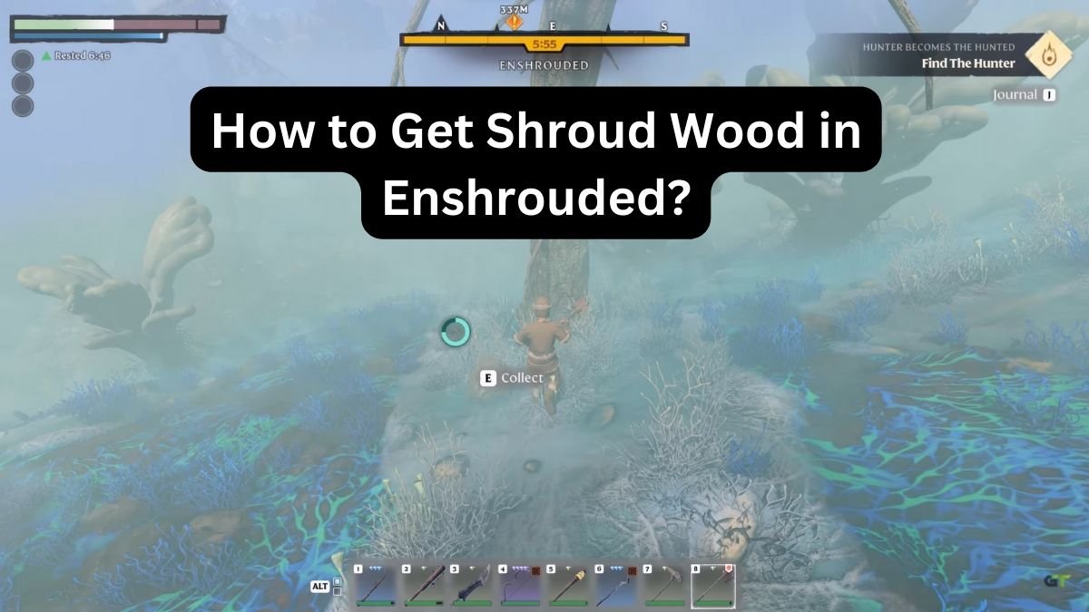 How to Get Shroud Wood in Enshrouded?